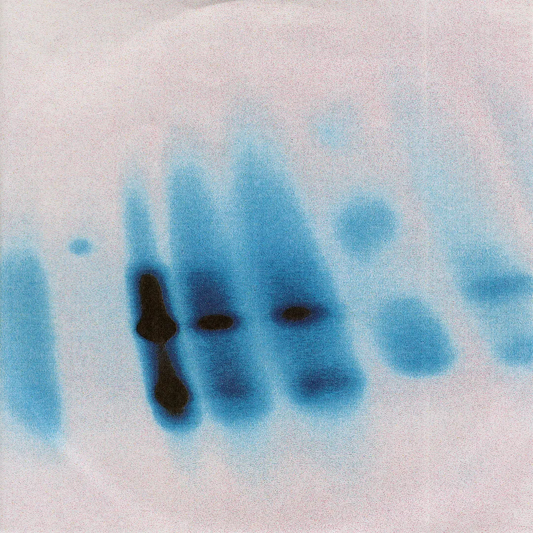 Loops, Notes And Sketches [Solo Guitar]