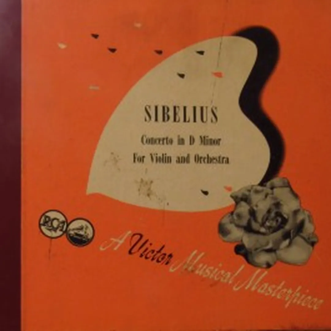 Violin Concerto in D Minor