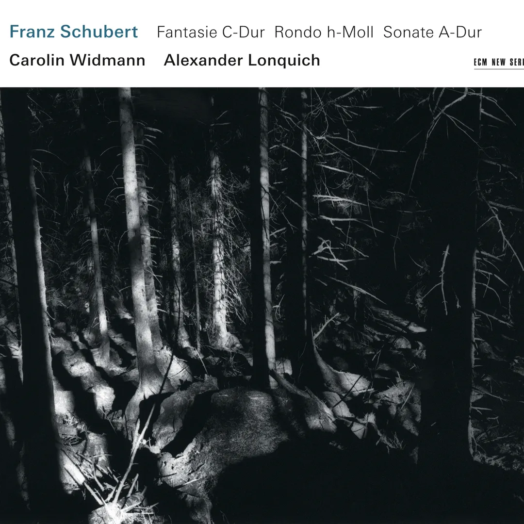 Fantasie C-Dur / Rondo h-Moll / Sonate A-Dur