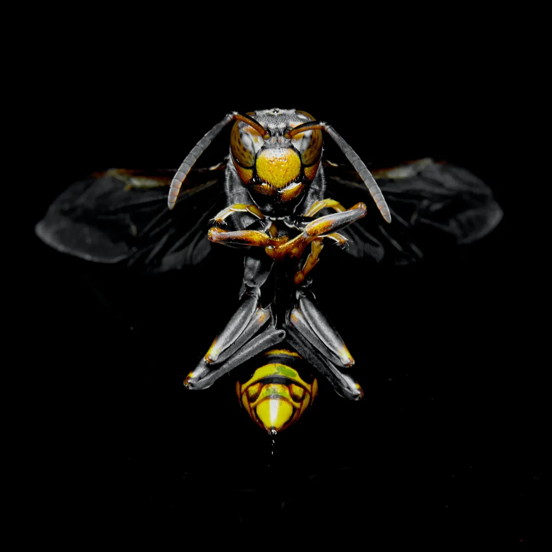 Non-Attachment Policy