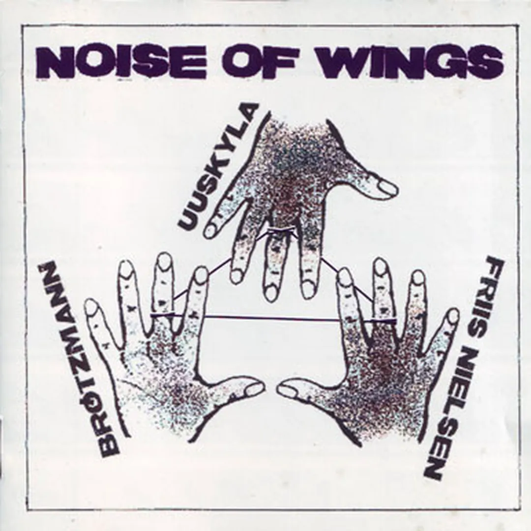 Noise of Wings