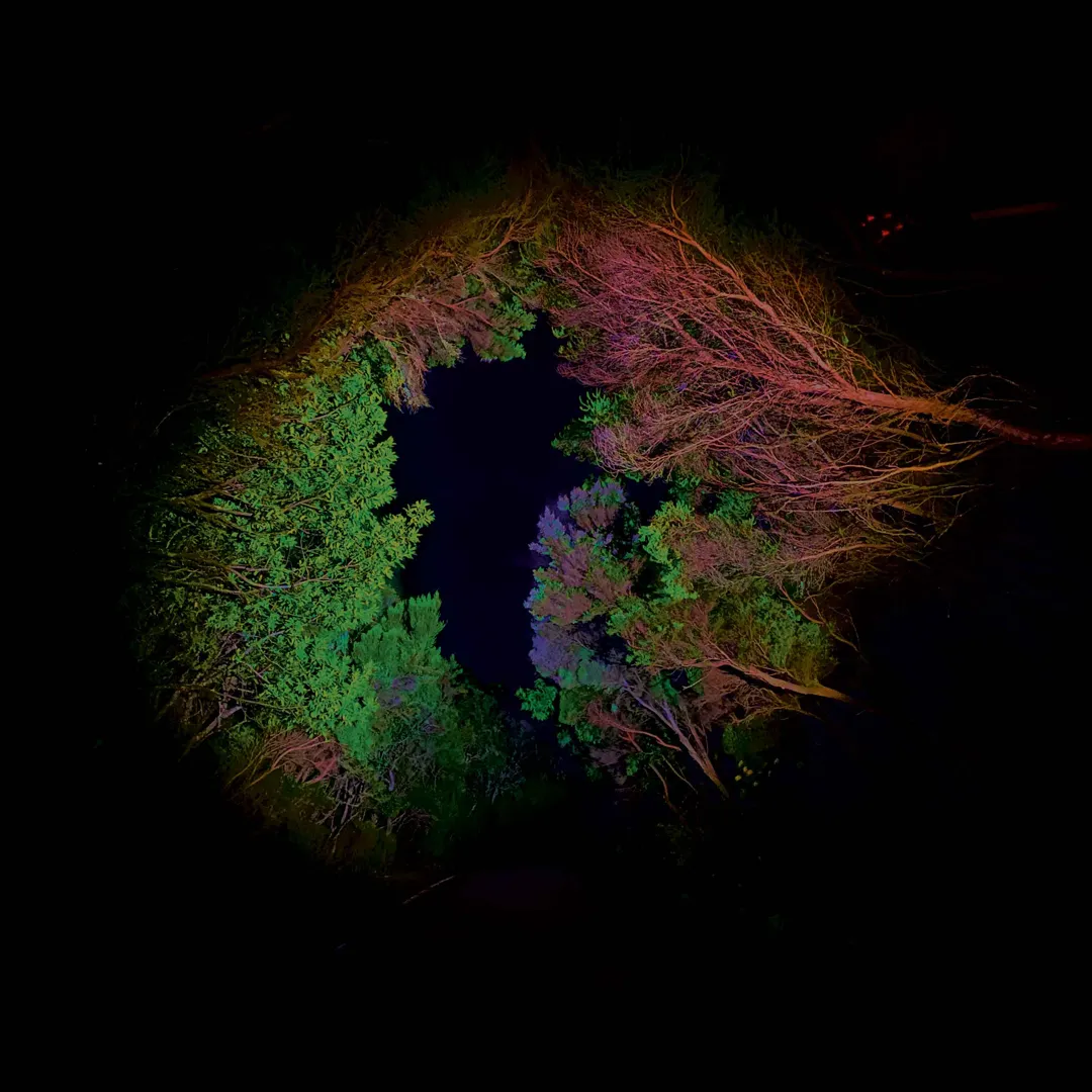 Hidden Island Music (Untitled #398)