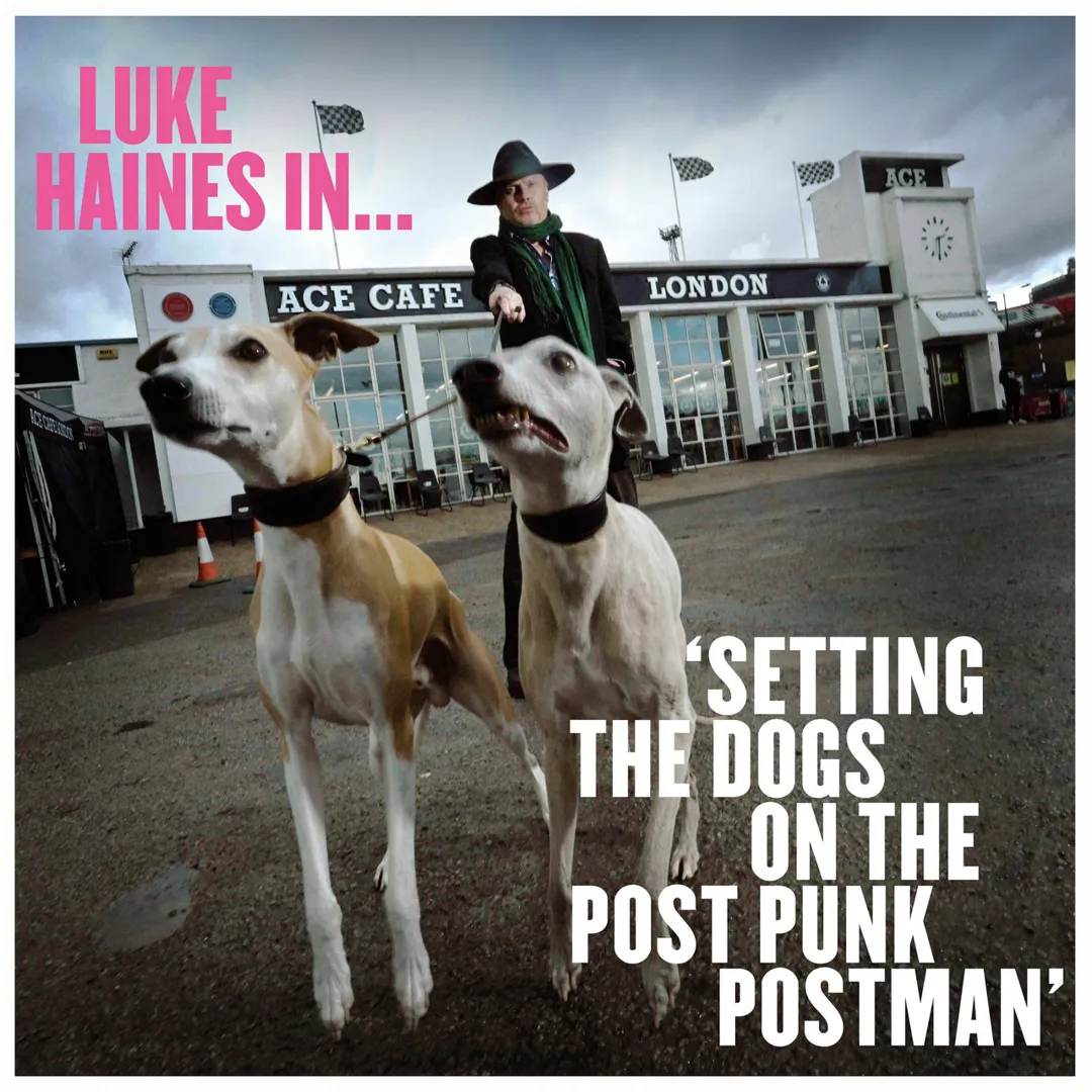 Setting the Dogs on the Post Punk Postman