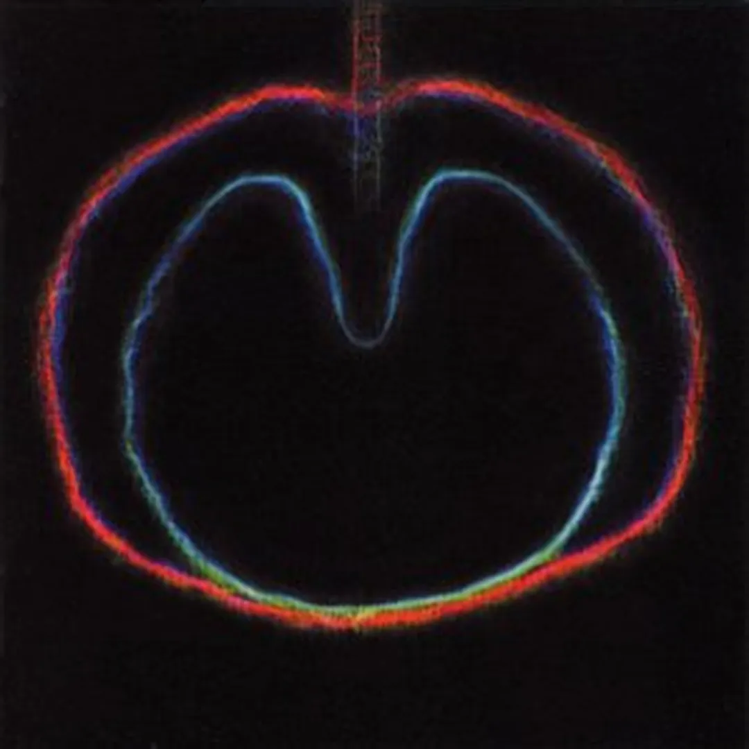 Apple Venus, Volume 2: Wasp Star