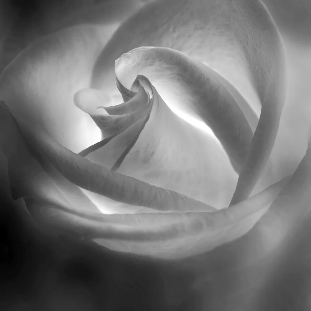 In the Frame of an Old Skyline Waltz, We Shall Take a Walk Through the Ruins of America, as Light Starts Creeping Around Into a Vast Field of Dust and Dirt