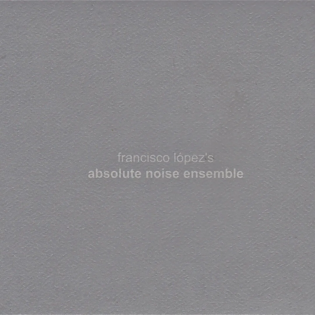 Absolute Noise Ensemble