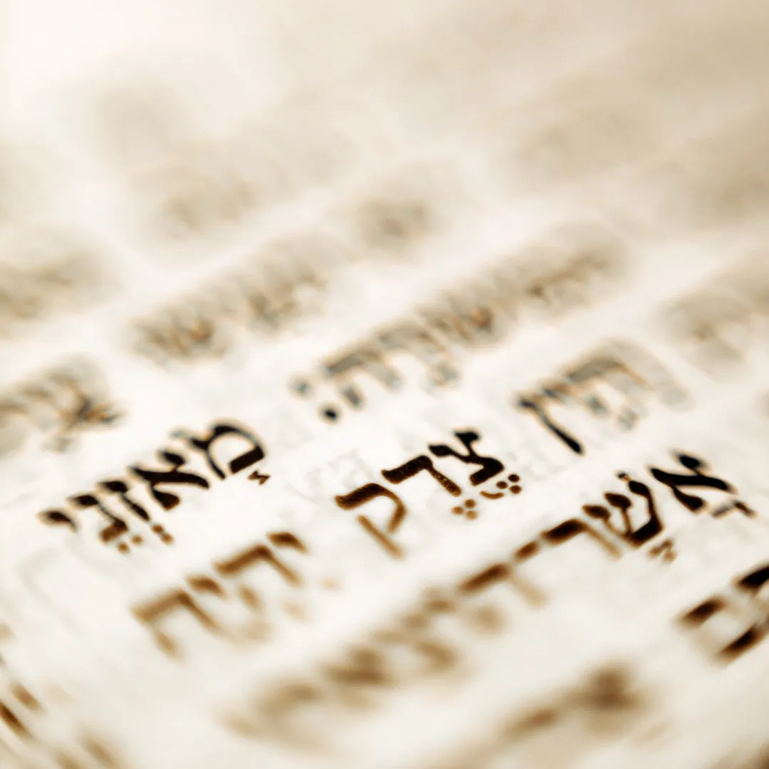 Never in My Entire Life Have I Felt So Safe Ailing You With a Pulsa diNura Ritual Ritual