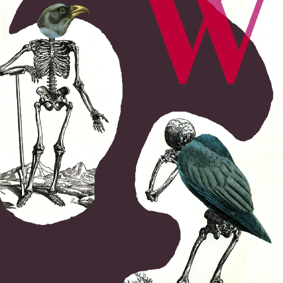 world’s end girlfriend