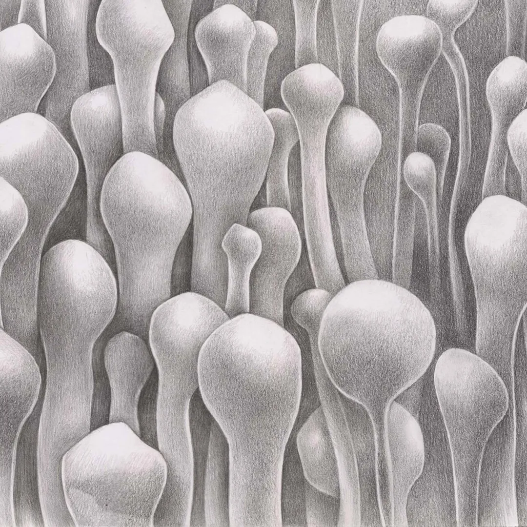 Hiroshi Hasegawa & Vitaly Maklakov