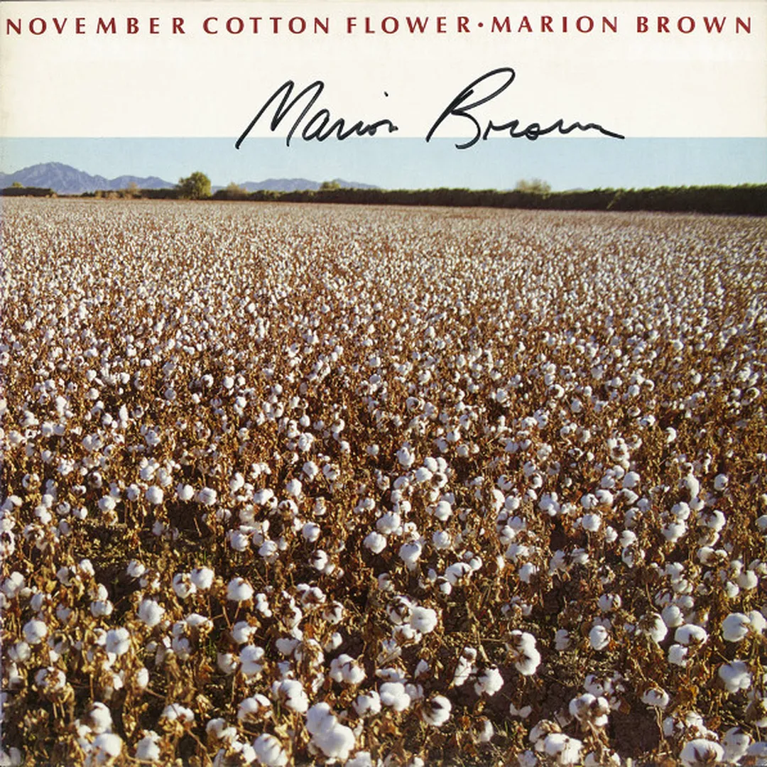 November Cotton Flower