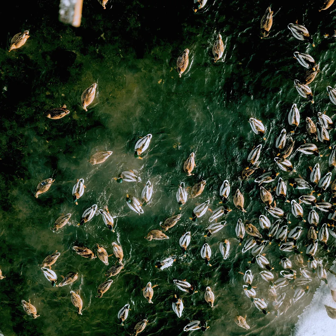 The Accomplished Sinners' Divine Deep State Is Jeffrey Epstein's Newest Art Enterprise in the Next World