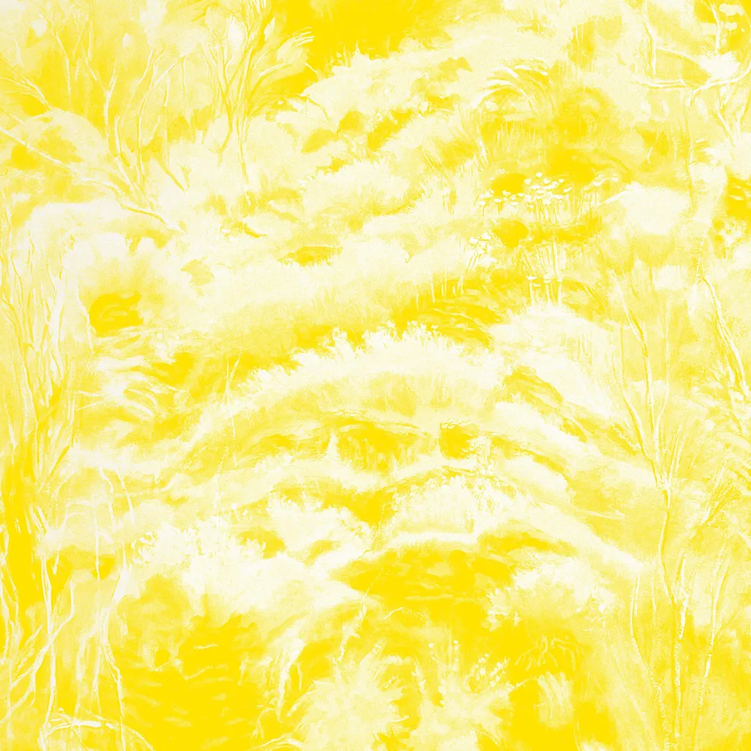 In the Half Light (instrumental)