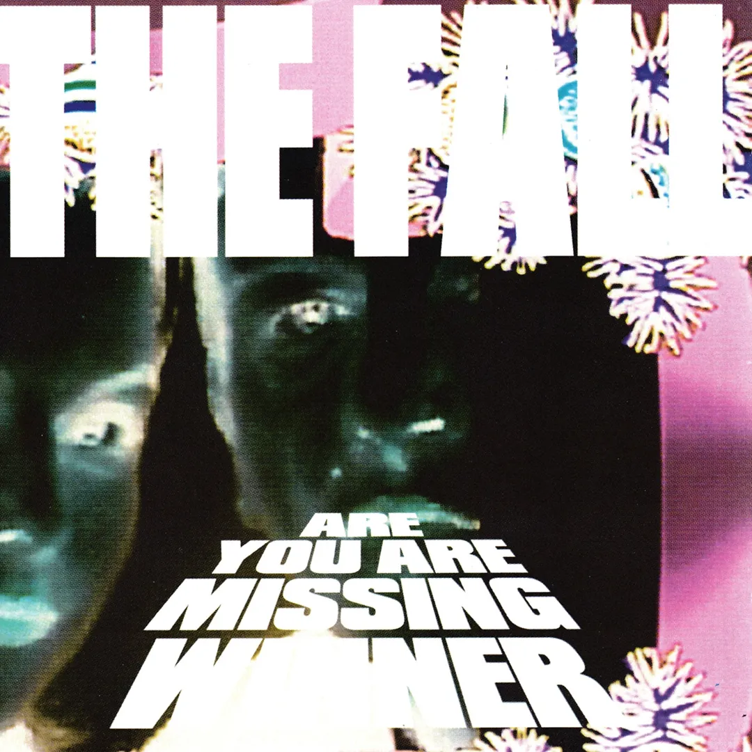 Are You Are Missing Winner