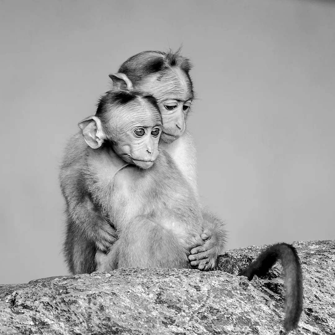 We've All Got to Live With Our Mistakes and the Scars They Heal