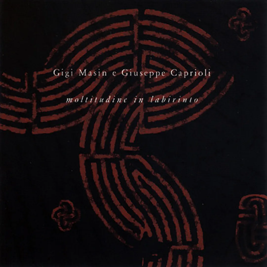 Moltitudine In Labirinto