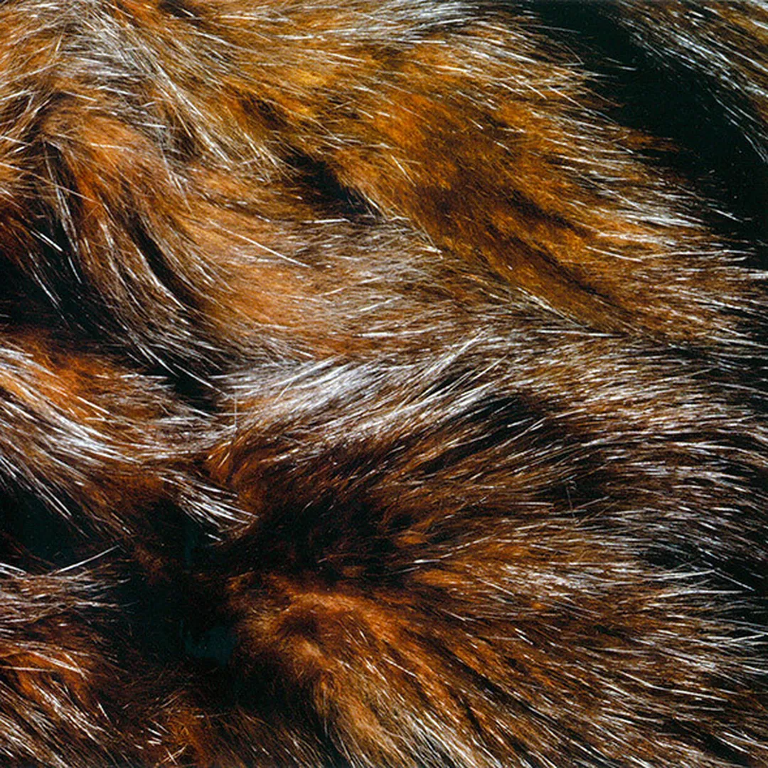 Forty Years to Find a Voice