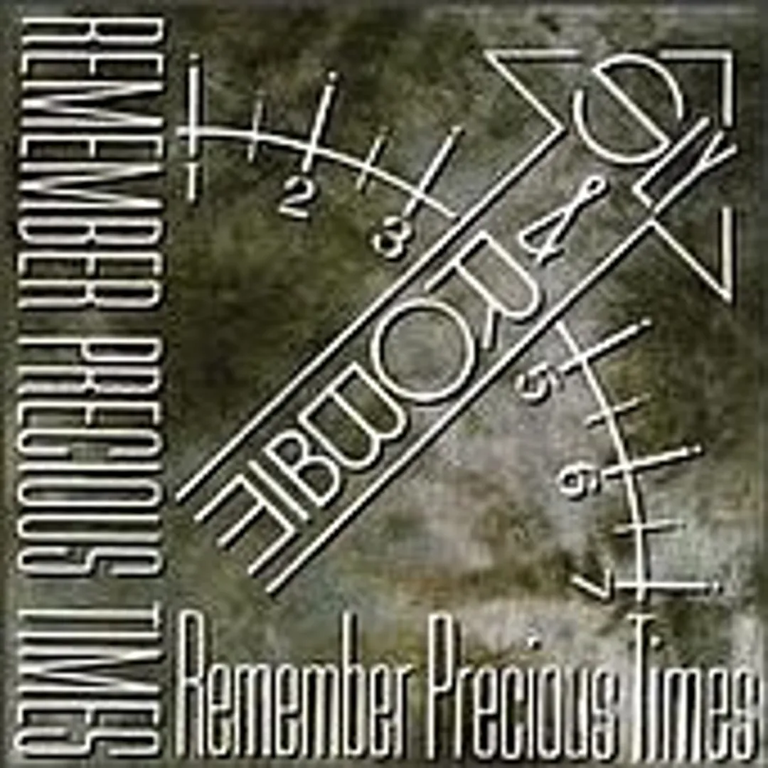 Remember Precious Times