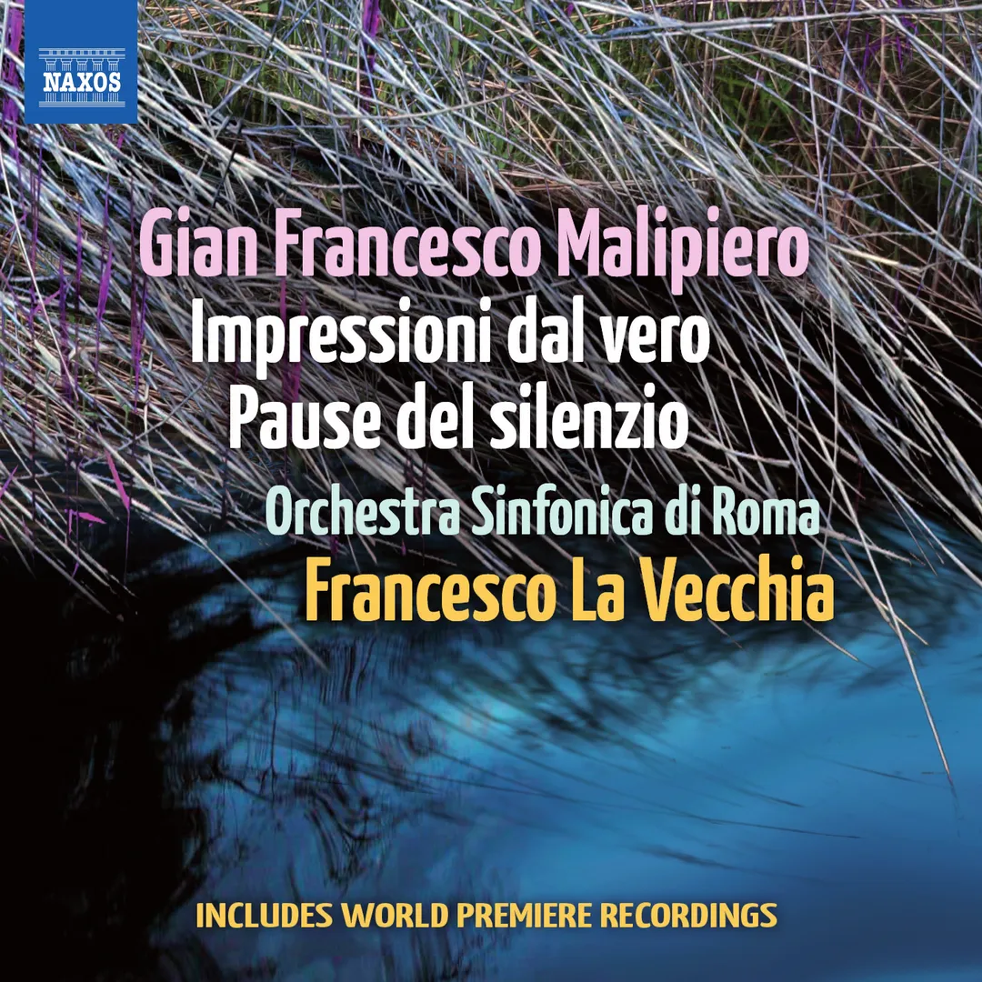 Impressioni dal vero / Pause del silenzio