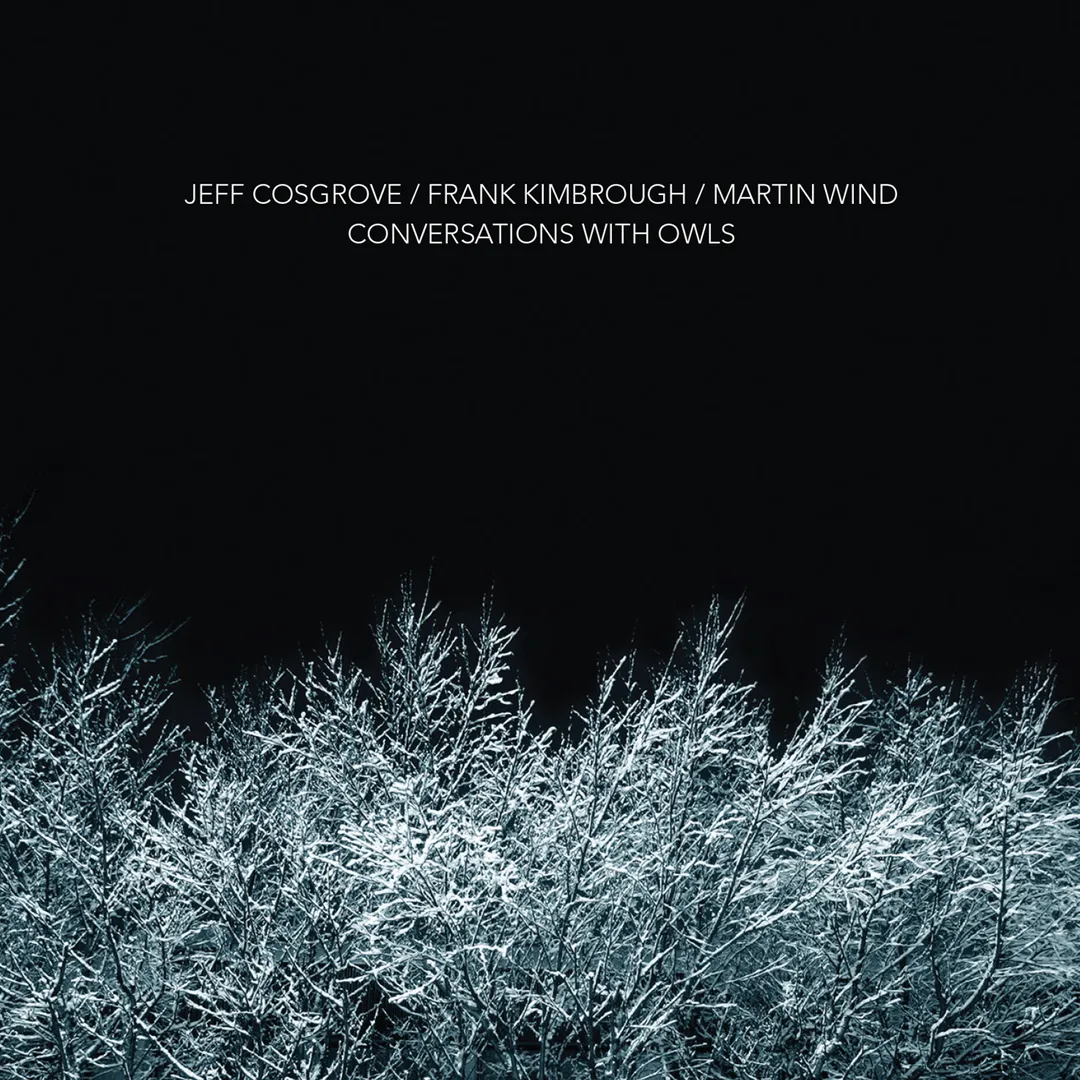 Conversations With Owls