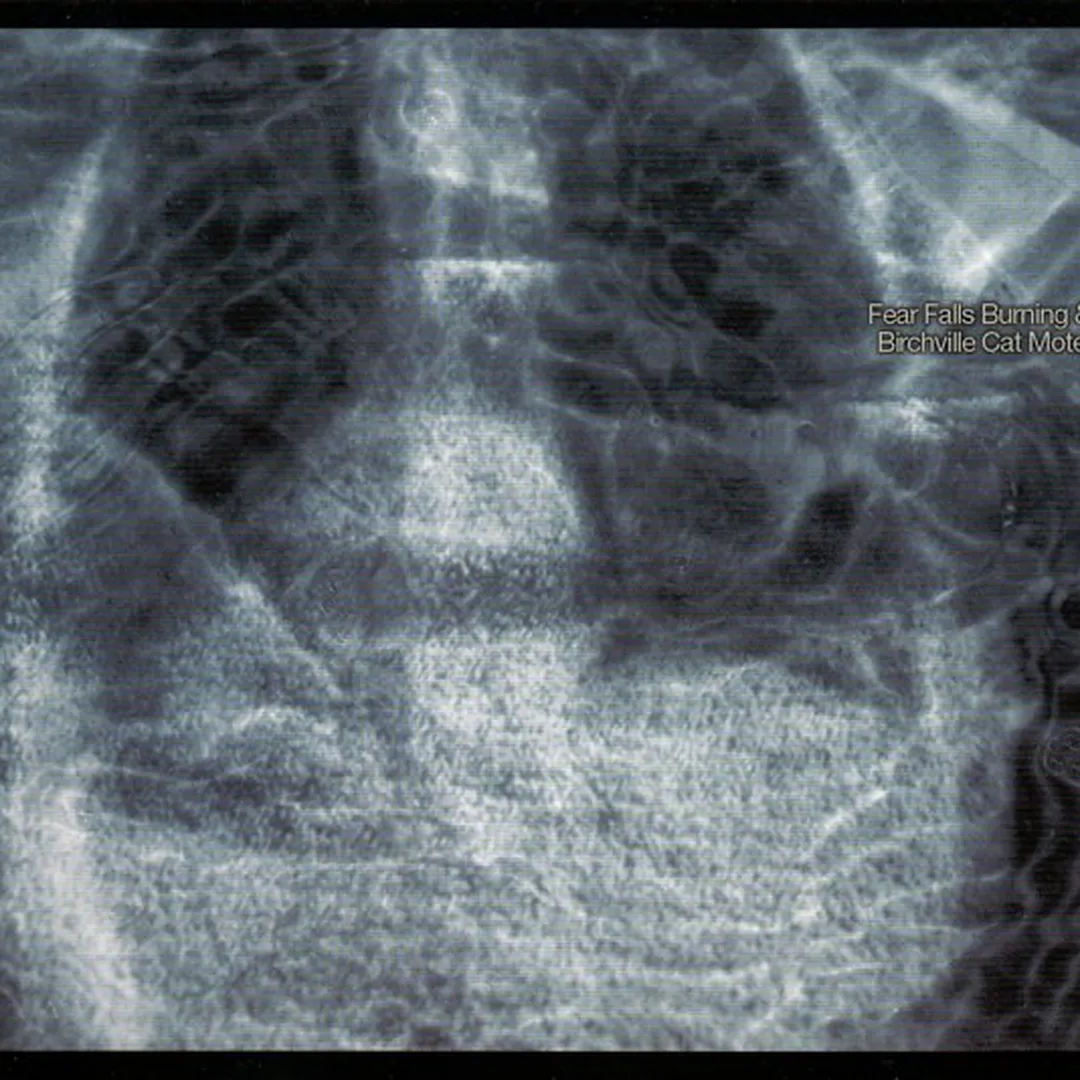 Fear Falls Burning & Birchville Cat Motel