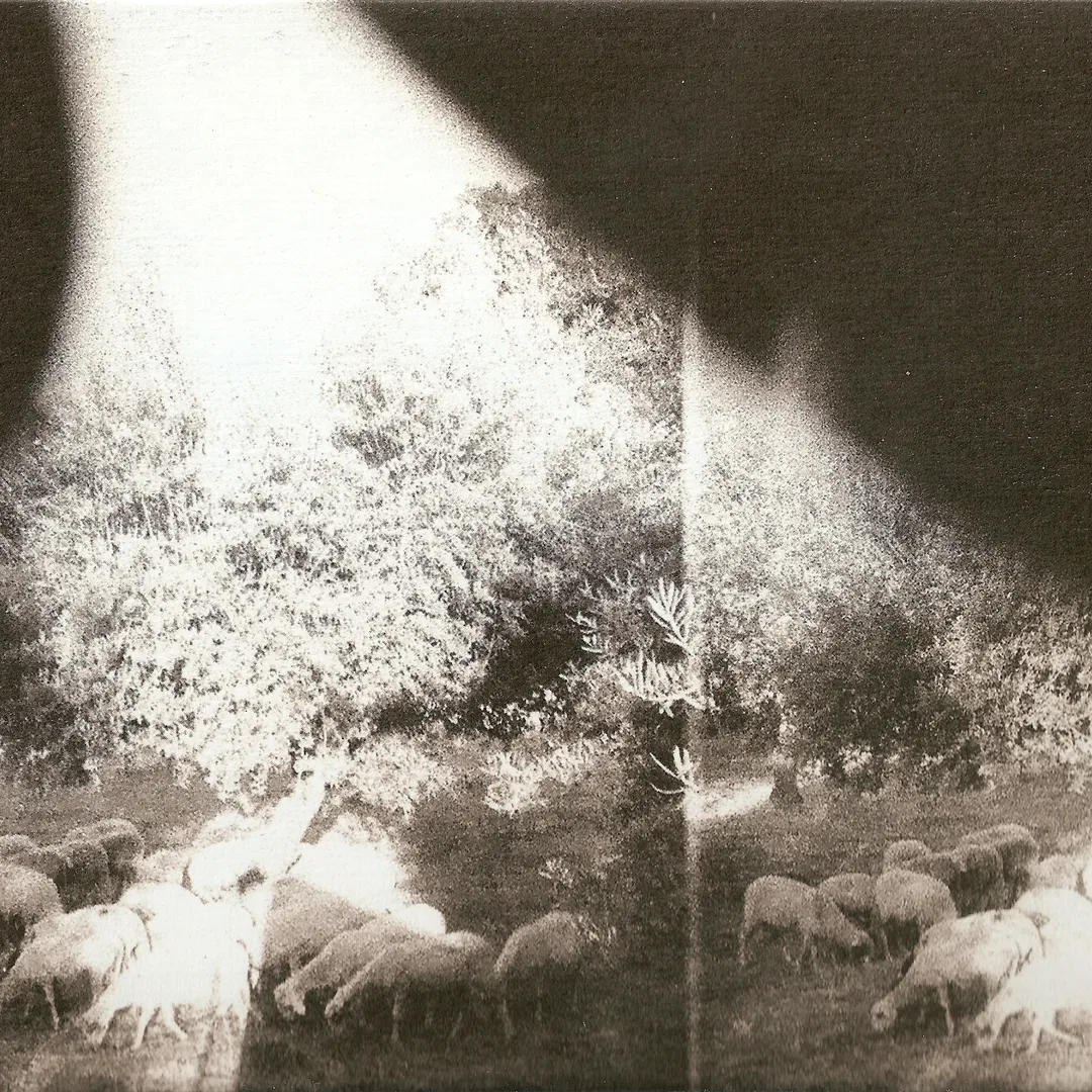 ‘Asunder, Sweet and Other Distress’