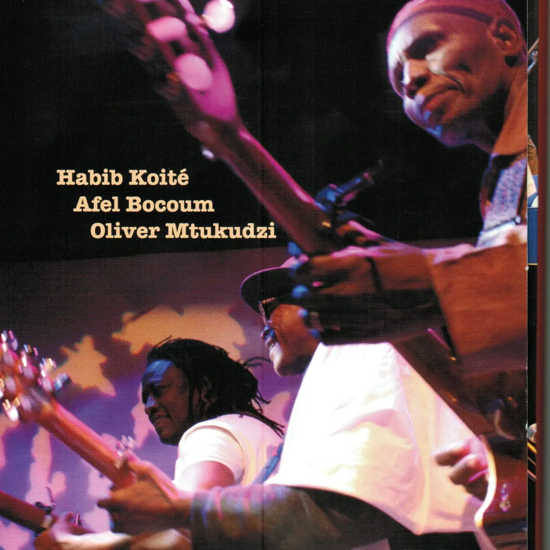 Acoustic Africa In Concert