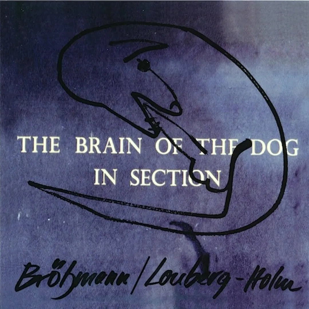 The Brain of the Dog in Section