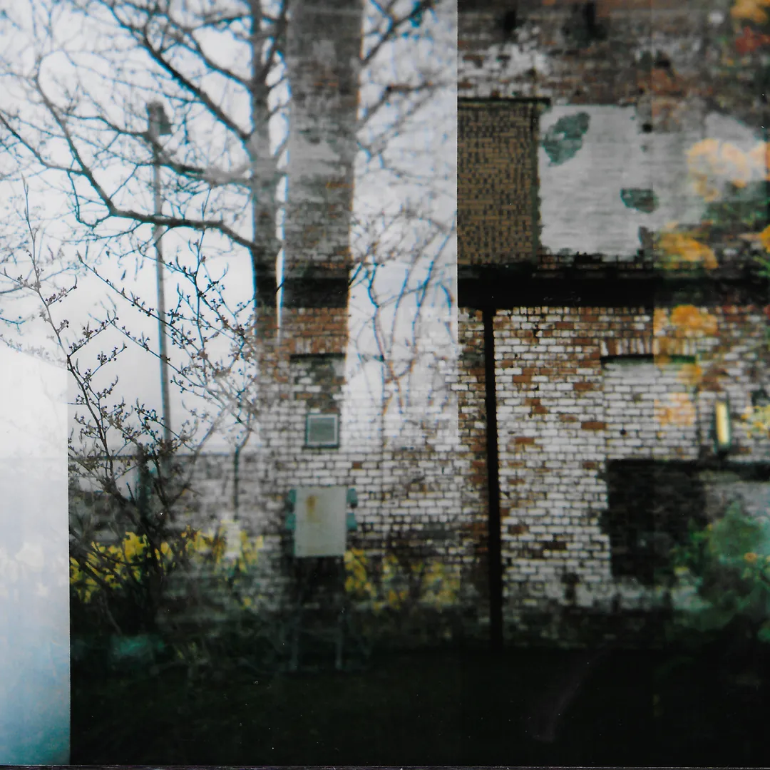 Six Panels for the Dissolution