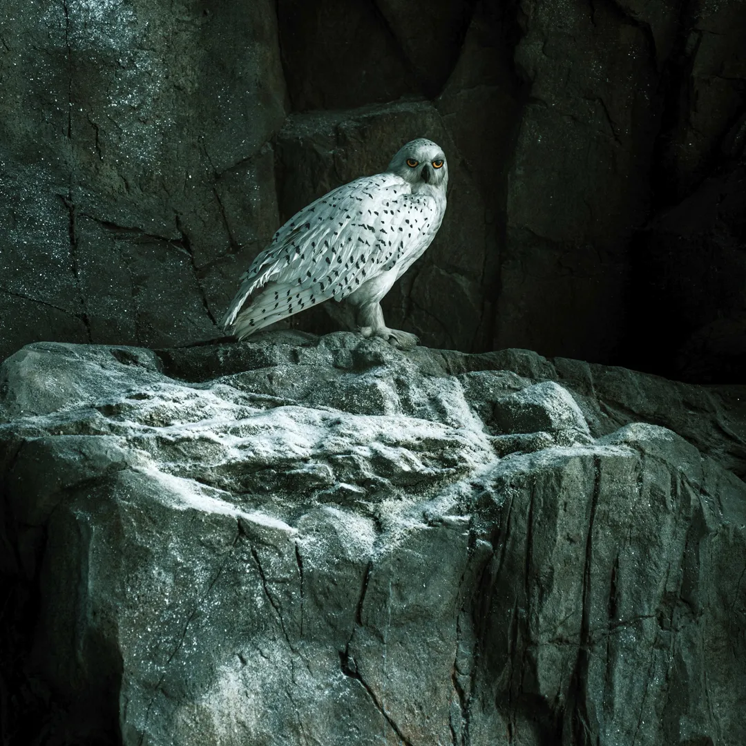 The Spectacular Illusion That Everything's Wrong (The Last Piano Concerto for 2021)