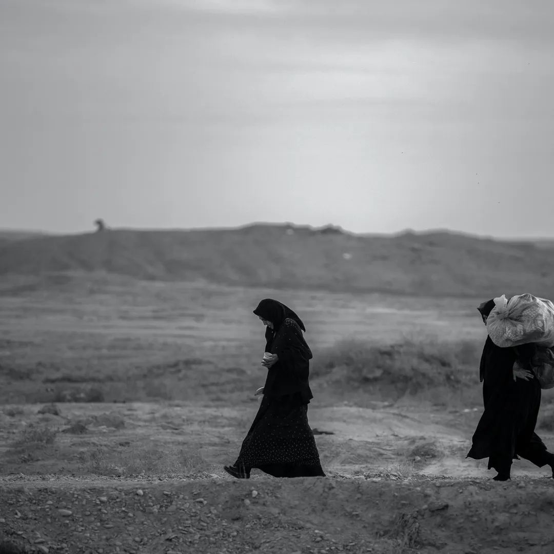 Sunshades and Mudpuppies