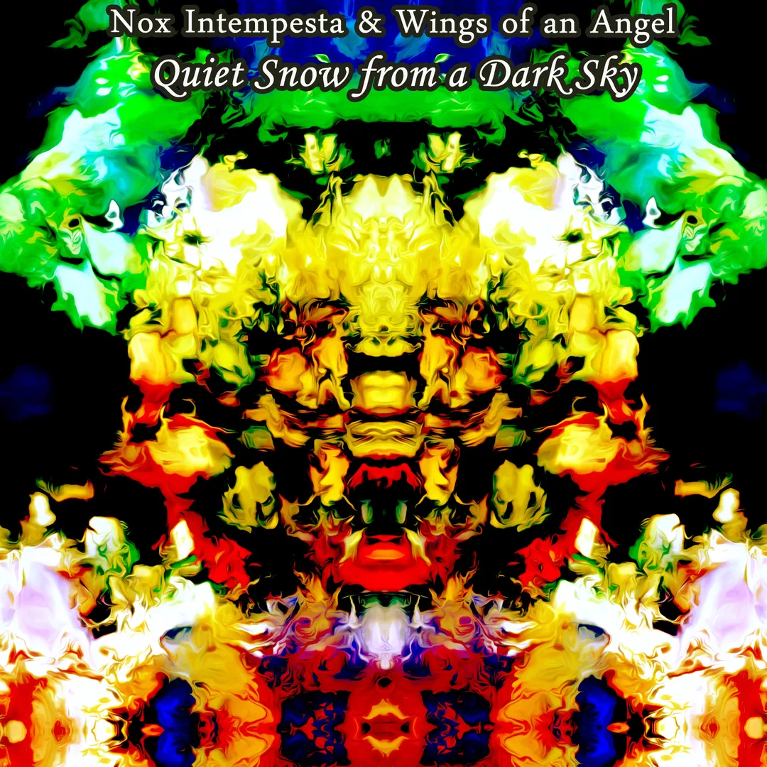 Quiet Snow From a Dark Sky