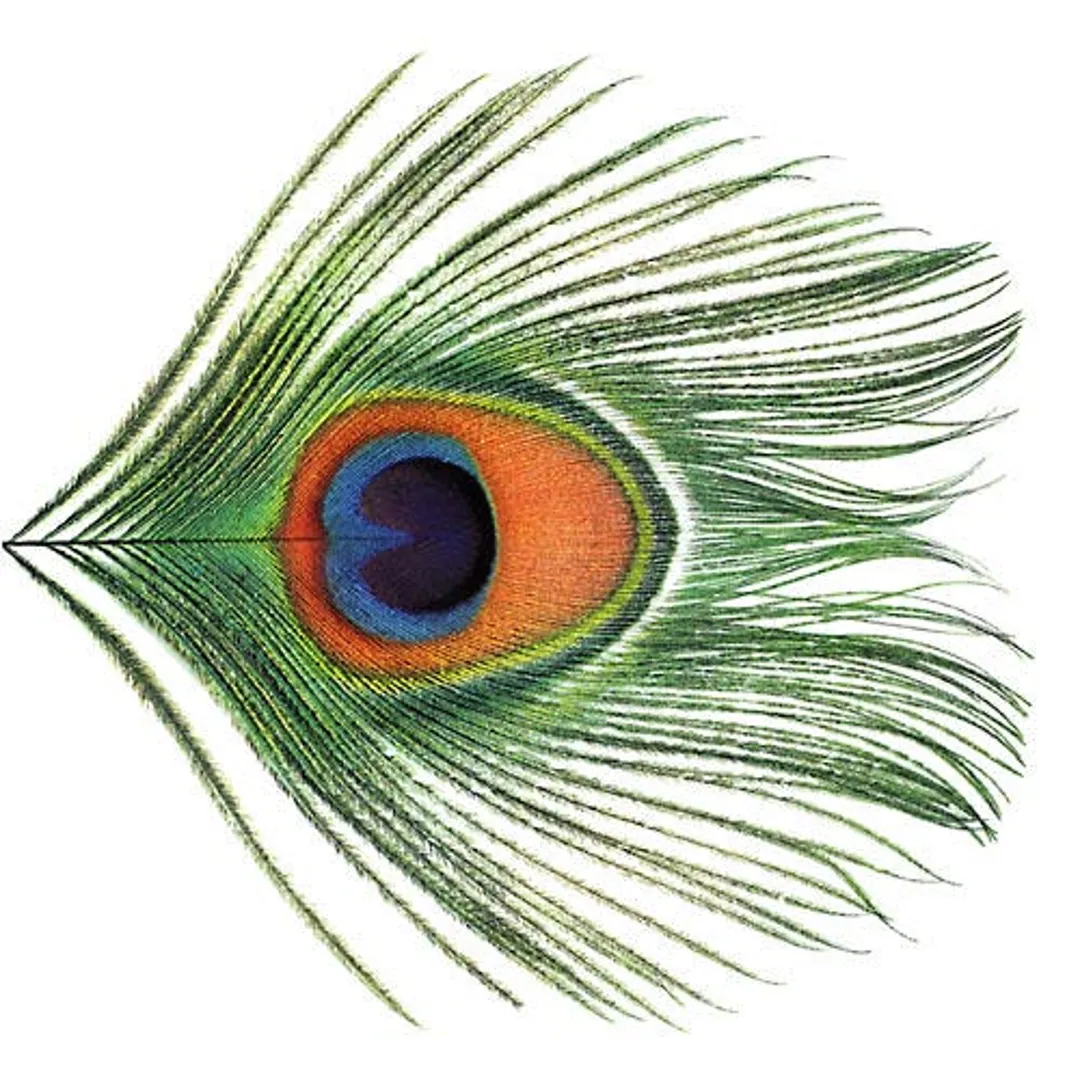 Apple Venus, Volume 1