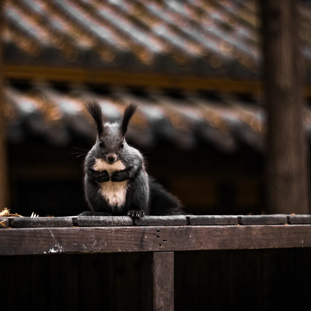 Only When We Become Helpless, Do We Truly Realize Our Inborn Vulnerability as Temporary Beings