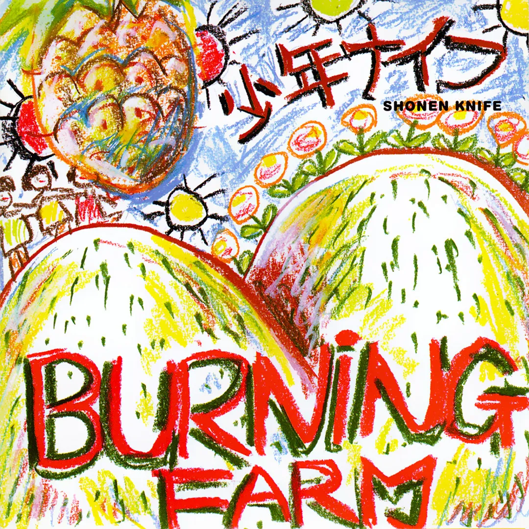BURNING FARM