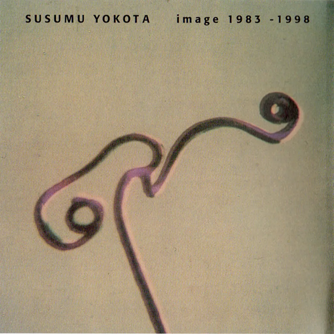 Susumu Yokota