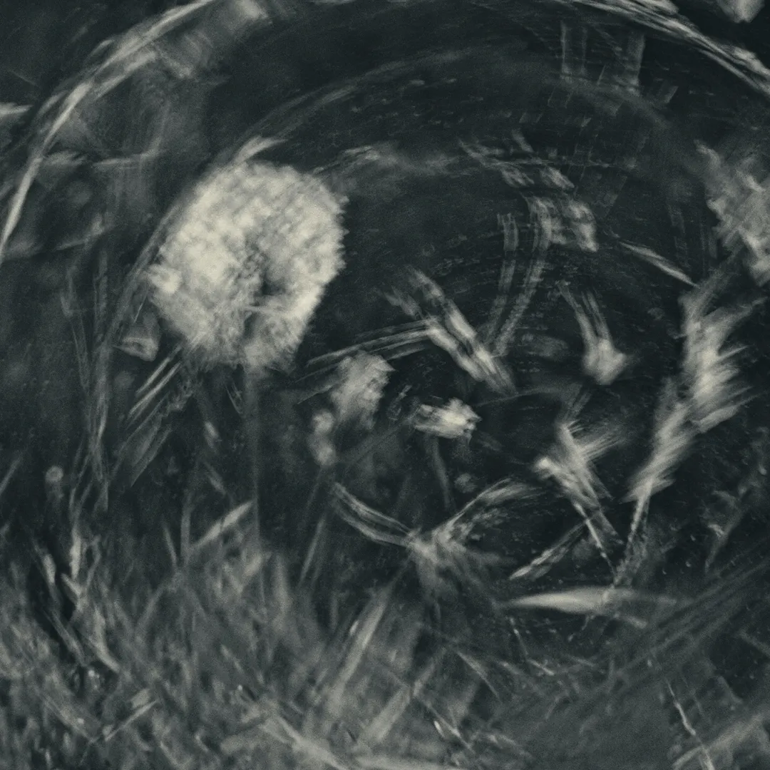 Break Down All Sane Language Barriers