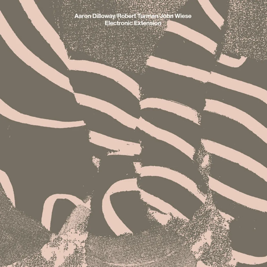 Electronic Extension