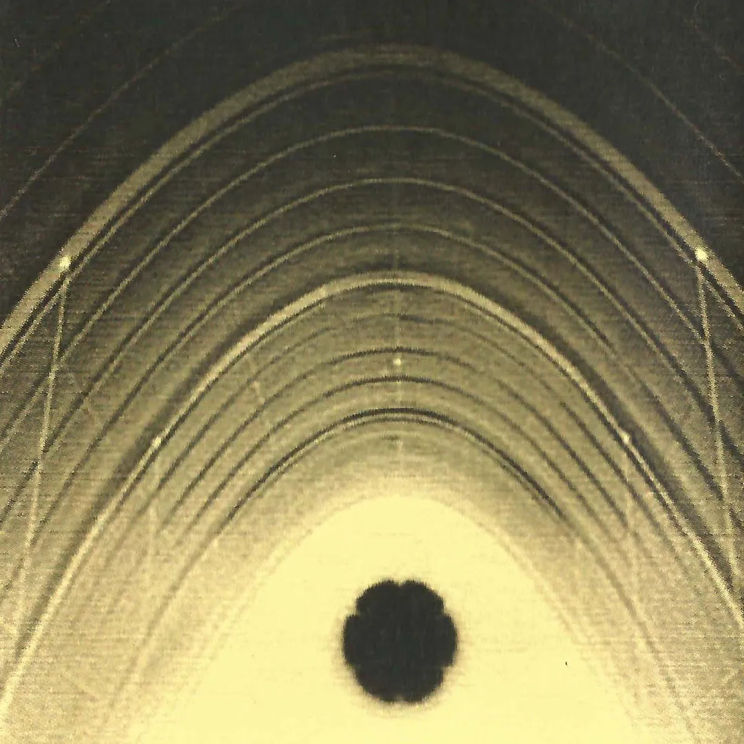 Hiroshi Hasegawa / Fecal Vomit