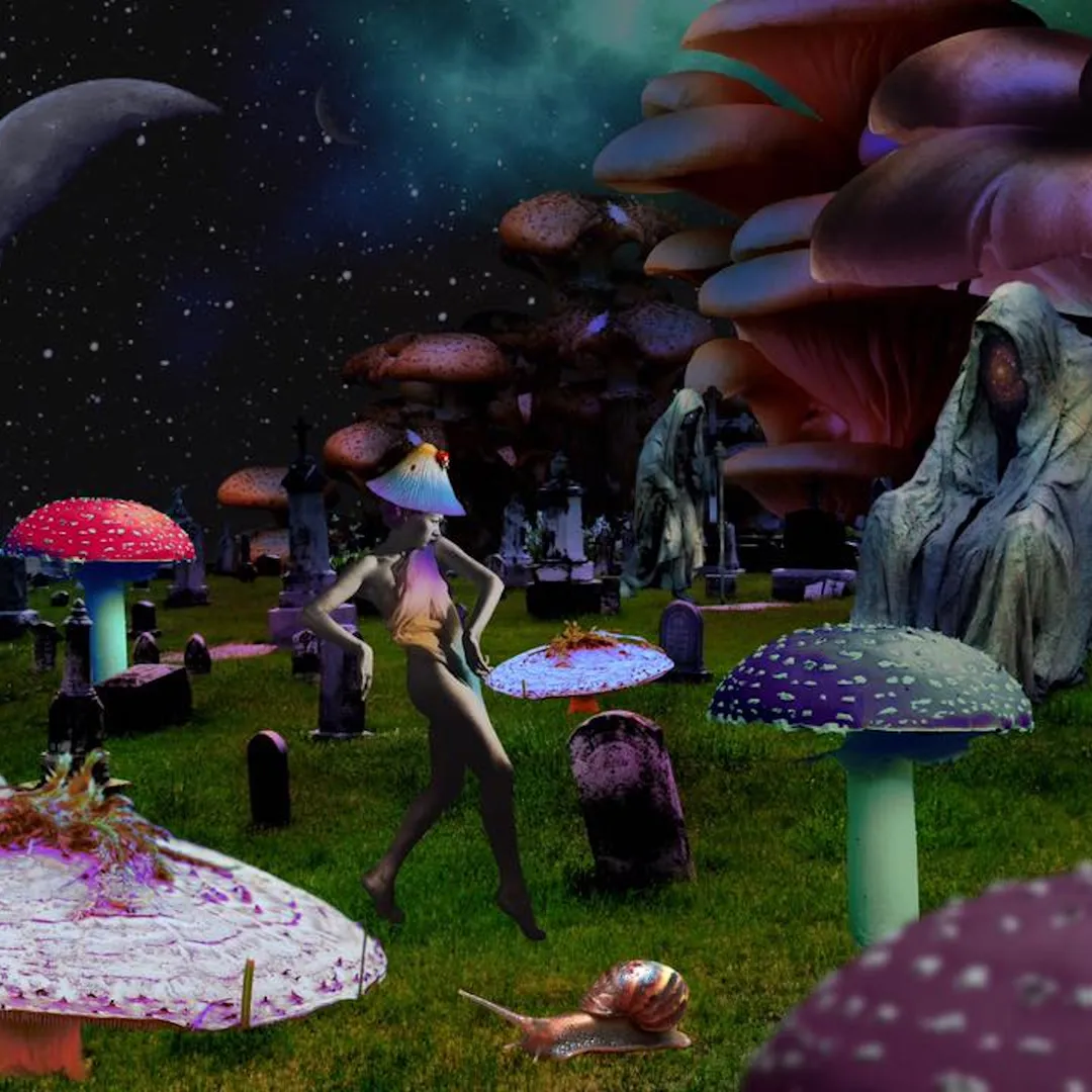 The Infinity That Wasn't