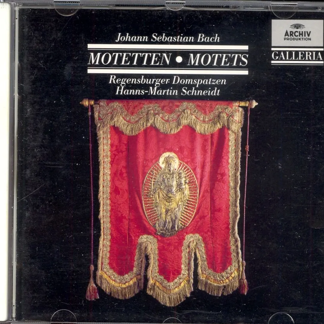 Regensburger Domspatzen