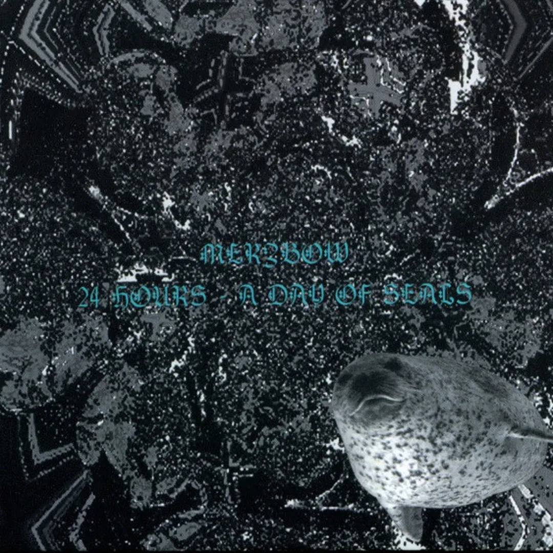 24 Hours: A Day of Seals