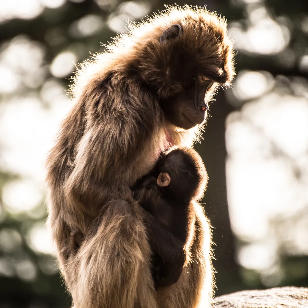 As If We Had Discovered Yesterday That the Earth Is Round and Have Not Yet Discovered That Water Is Seeping Into the Rock