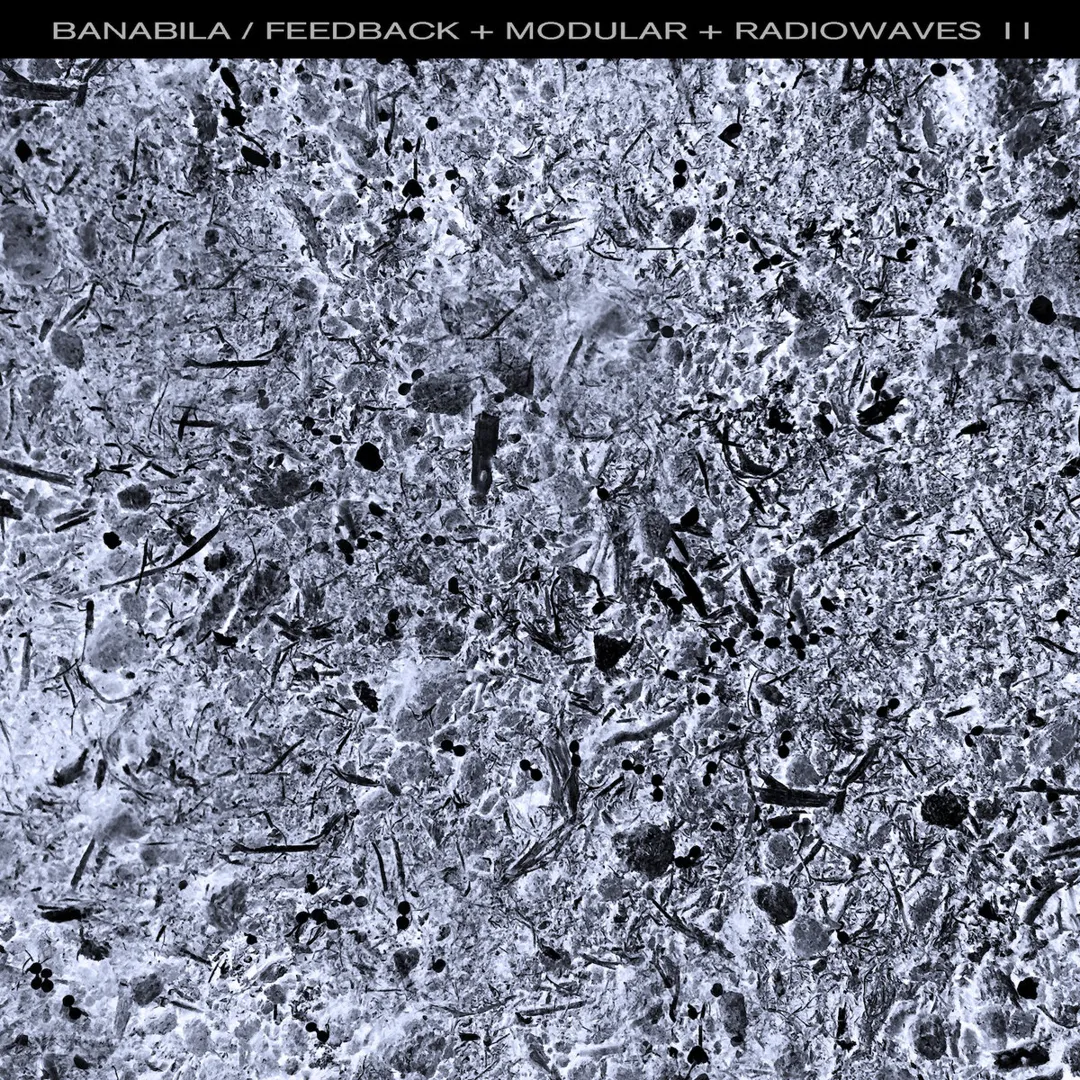 Feedback + Modular + Radiowaves II