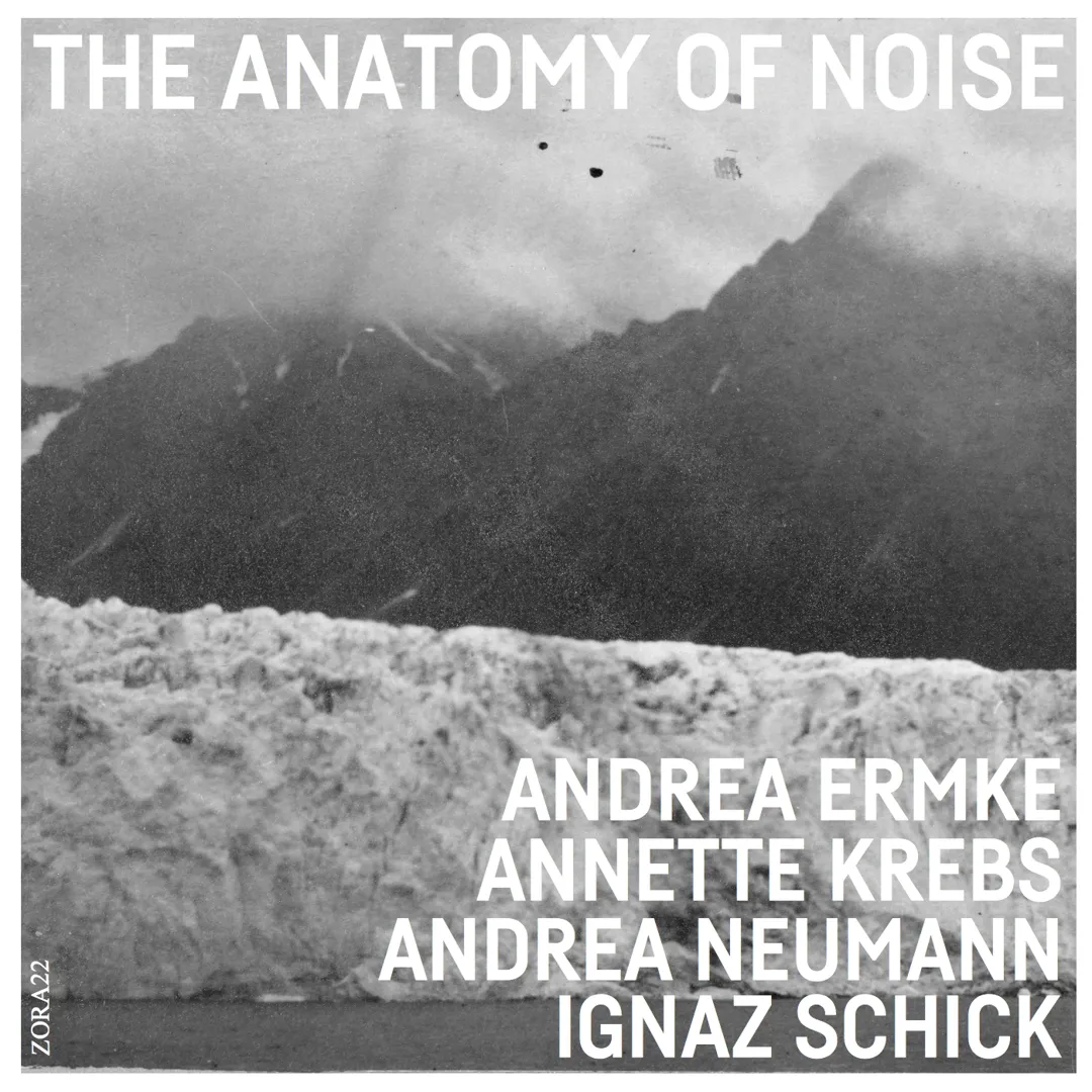 The Anatomy of Noise