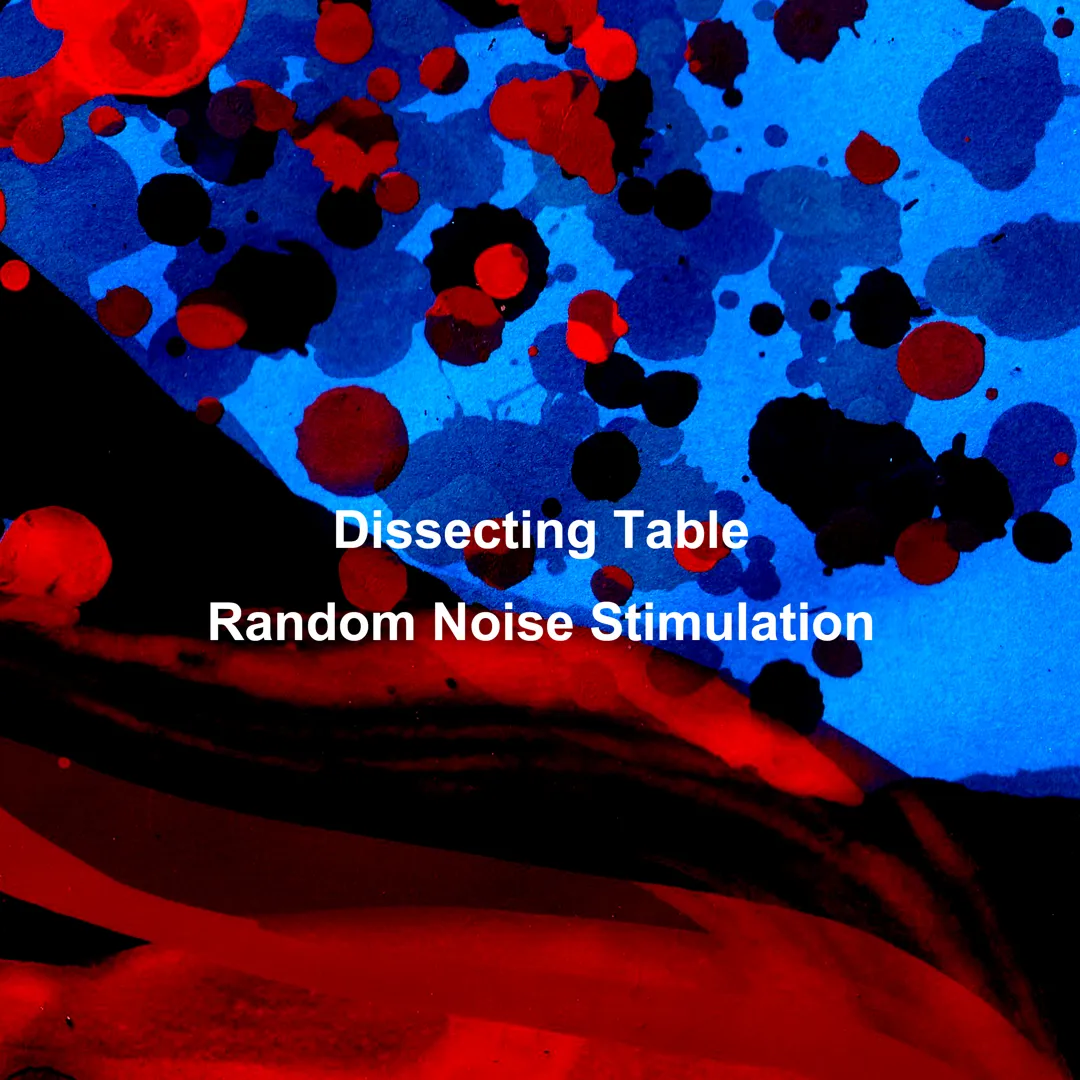 Random Noise Stimulation