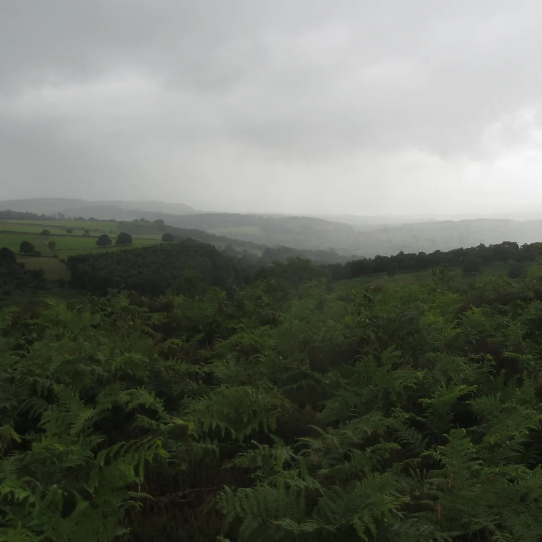 meditations disintegrations