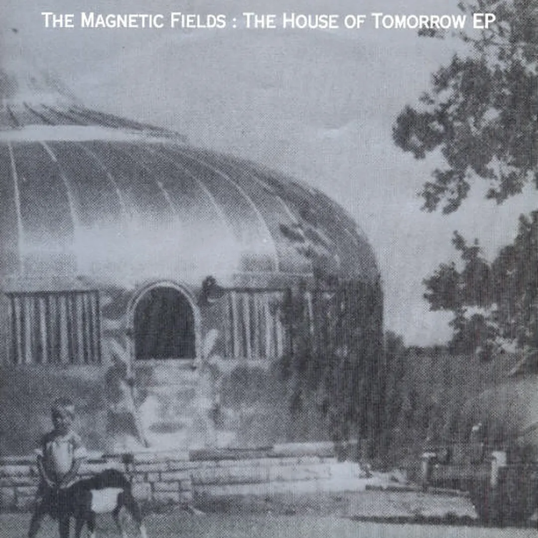 The Magnetic Fields