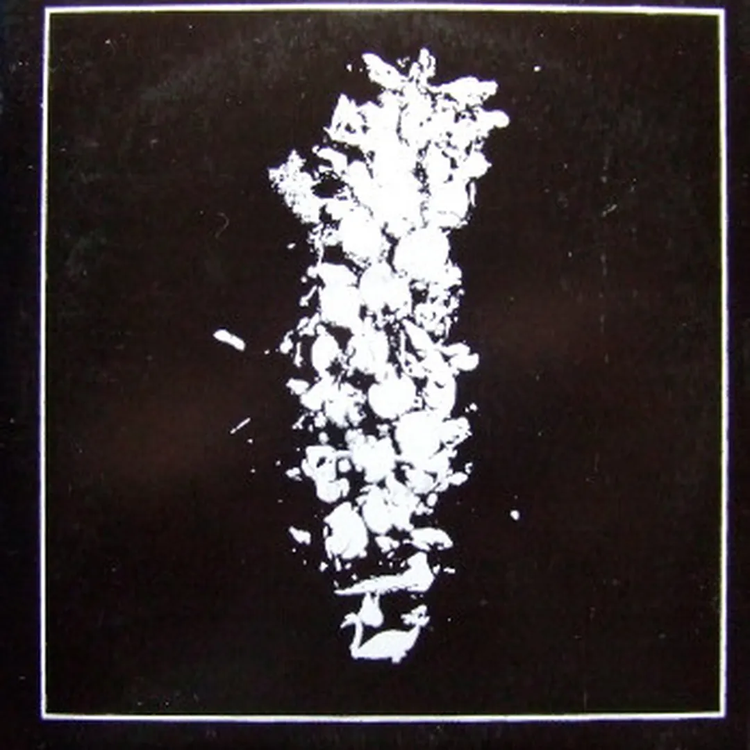 Drowning Yellow Swans & Jim Altieri