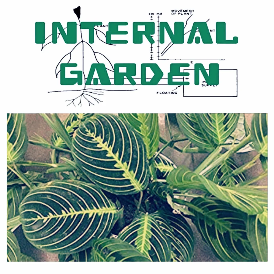 Internal Garden: Research Collection Five