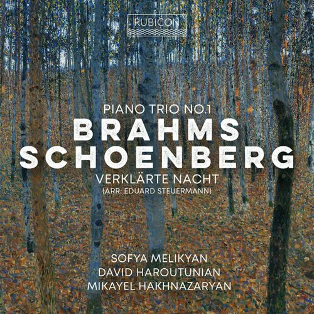 Brahms: Piano Trio no. 1 / Schoenberg/Steuermann: Verklärte Nacht
